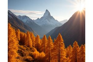 Goldener Lärchenwald im Herbst in Zermatt